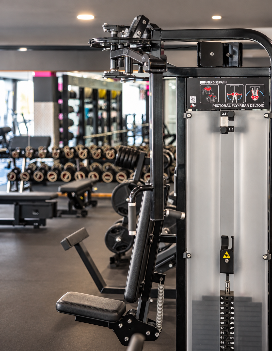 MYGYM ZIB – Kraftgerät im Detail