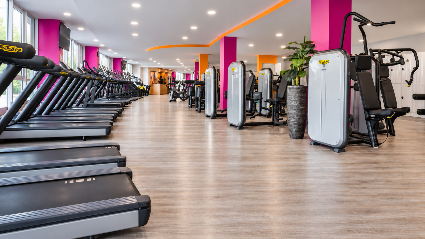MYGYM ZIB – Cardio- und Kraftbereich