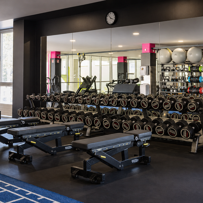 MYGYM_ZIB_30_Kurzhantelbereich-Panorama_PRIME-Retouche