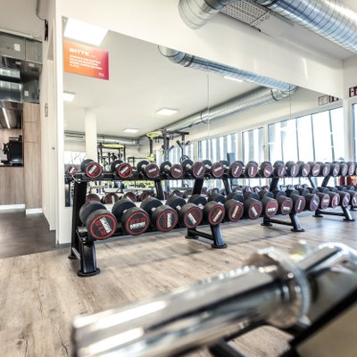 Kurzhanteltraining im MYGYM Fitnessstudio