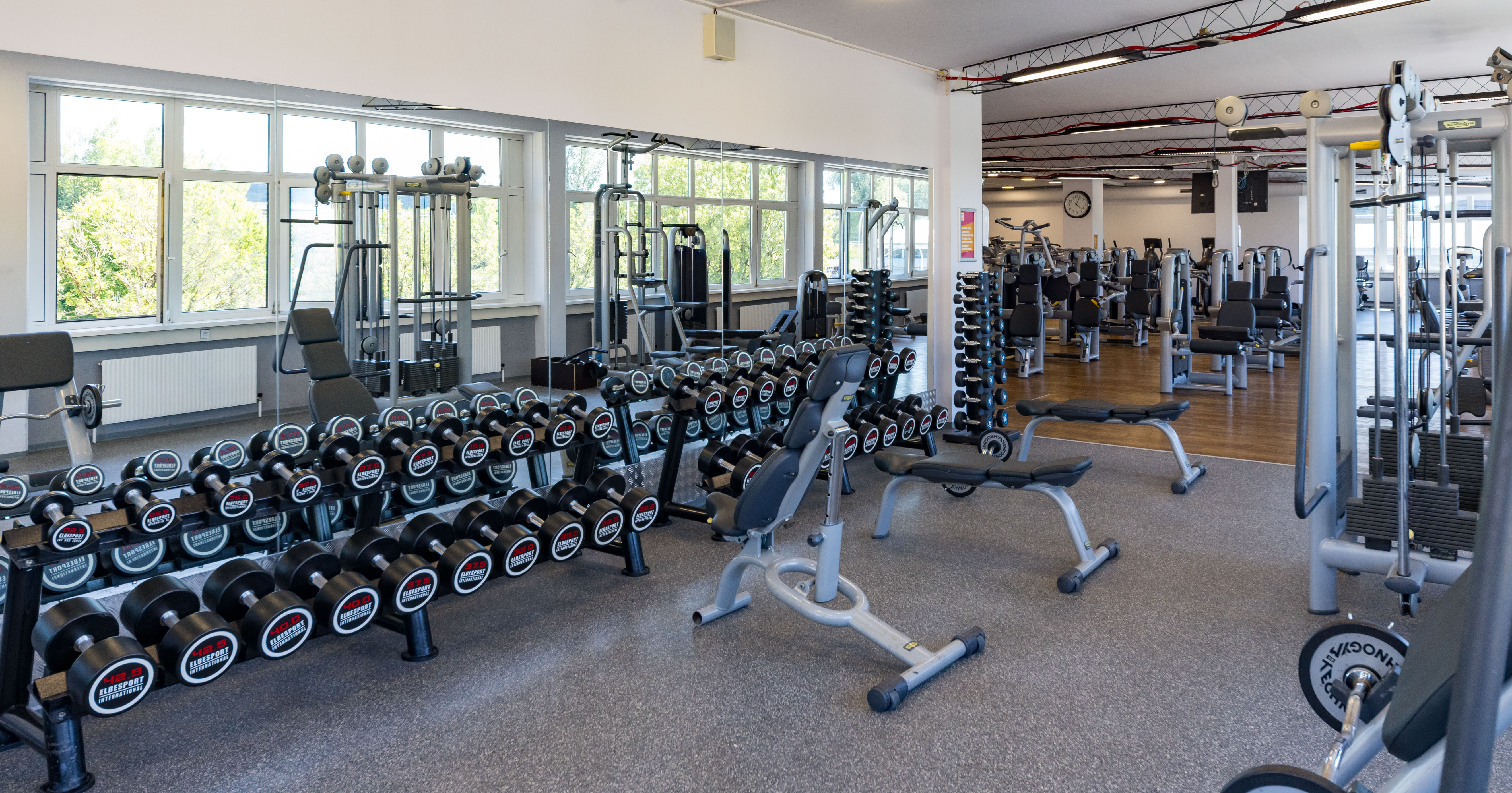 Kraftbereich im MYGYM Salzburg Nord
